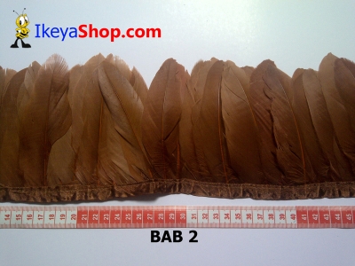 Bulu angsa BAB 2   feather  large2